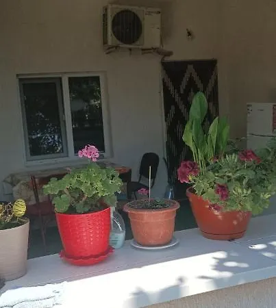Casa Diana